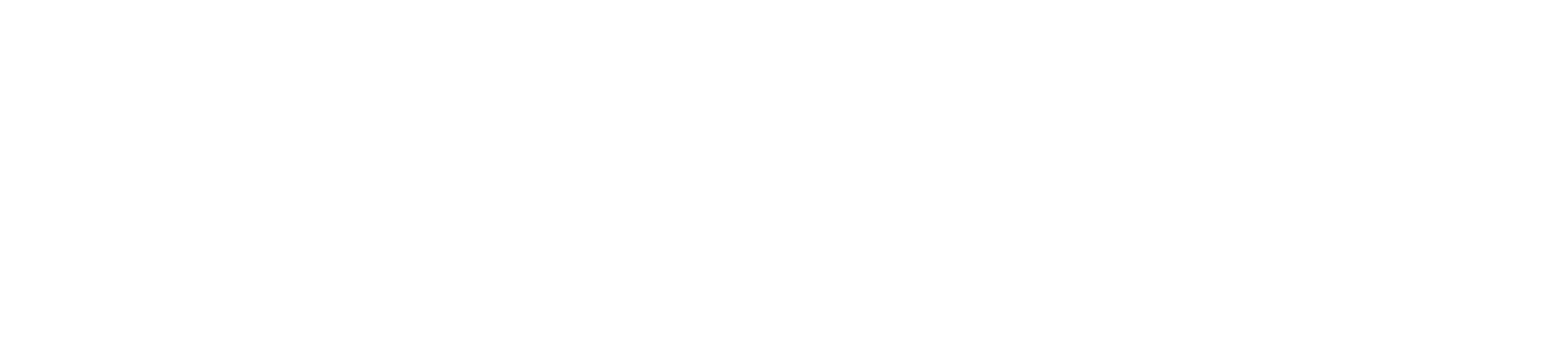 Team Arion